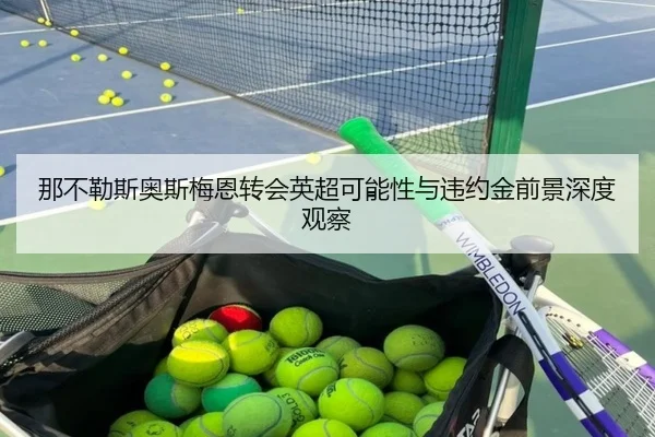 那不勒斯奥斯梅恩转会英超可能性与违约金前景深度观察