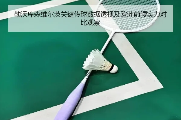勒沃库森维尔茨关键传球数据透视及欧洲前腰实力对比观察