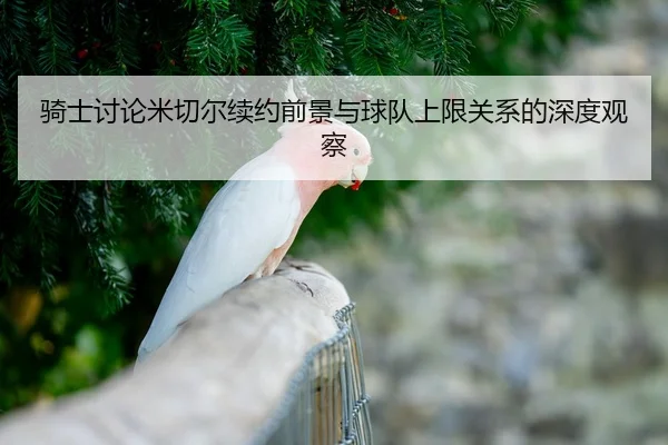 骑士讨论米切尔续约前景与球队上限关系的深度观察